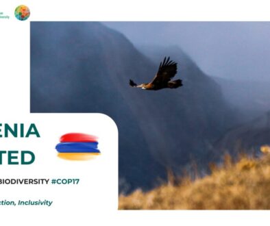cop17-armenia